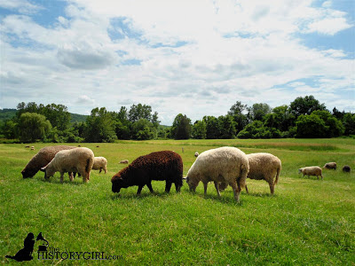 Farming in Pleasant Valley: The Timeless World of Howell Living History Farm