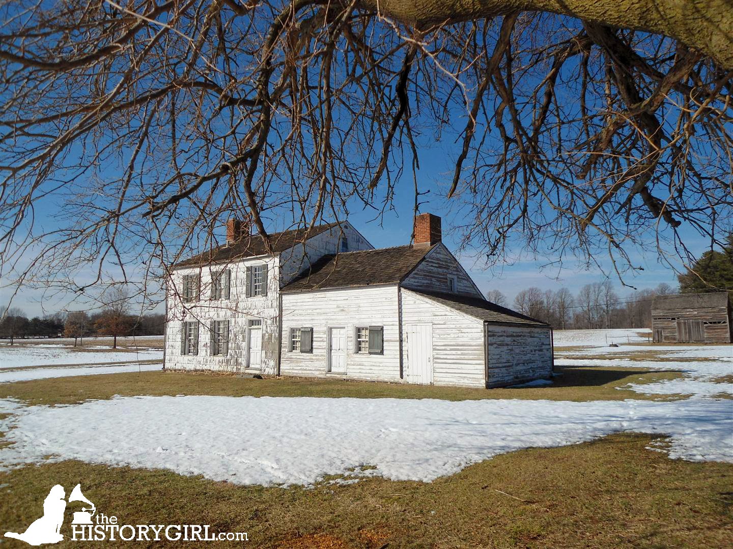The Witness in the Fields: The Struggle to Save the Craig House