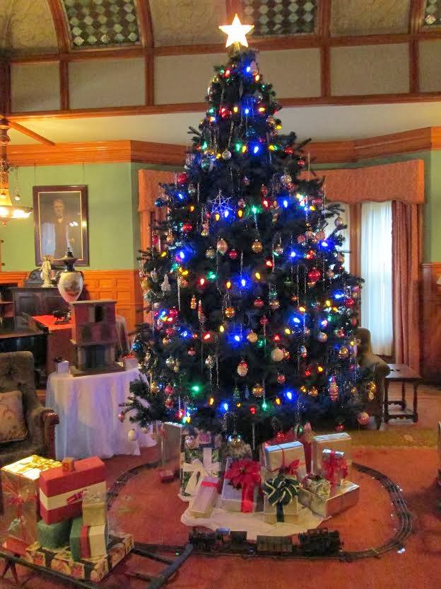 Iedison Tree edison-tree.jpg – The History Girl
