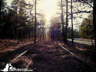 The Jersey Devil: New Jersey’s Winged Legend of the Pine Barrens
