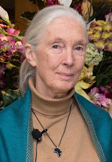 Remembering Jane Goodall (1934–2025)